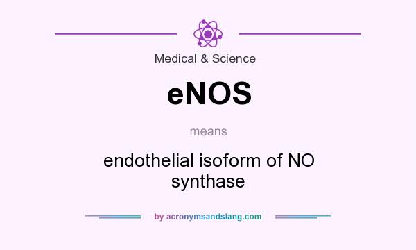 What does eNOS mean? It stands for endothelial isoform of NO synthase