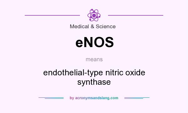 What does eNOS mean? It stands for endothelial-type nitric oxide synthase