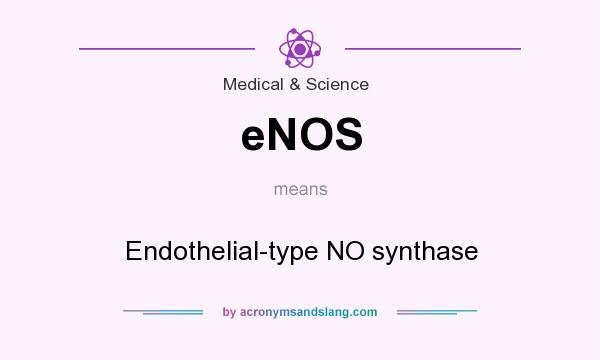 What does eNOS mean? It stands for Endothelial-type NO synthase