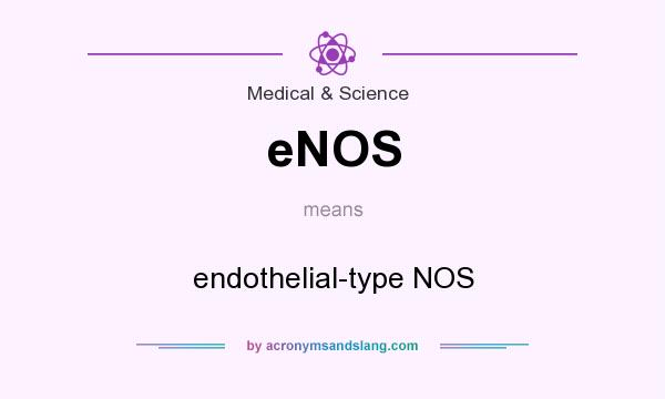 What does eNOS mean? It stands for endothelial-type NOS