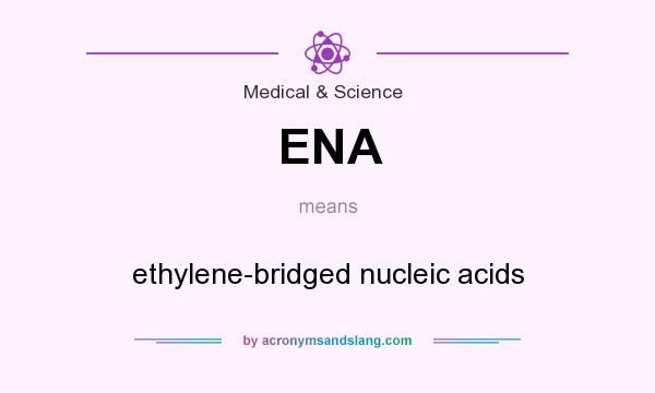 What does ENA mean? It stands for ethylene-bridged nucleic acids