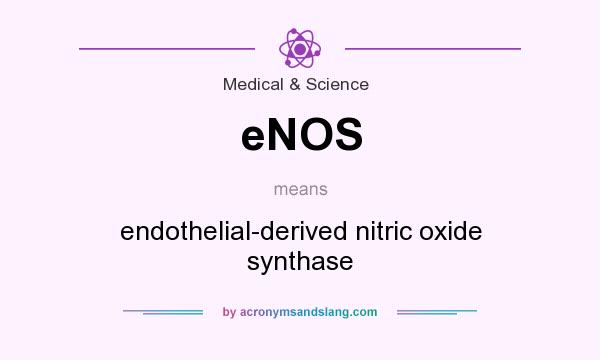 What does eNOS mean? It stands for endothelial-derived nitric oxide synthase