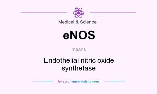 What does eNOS mean? It stands for Endothelial nitric oxide synthetase