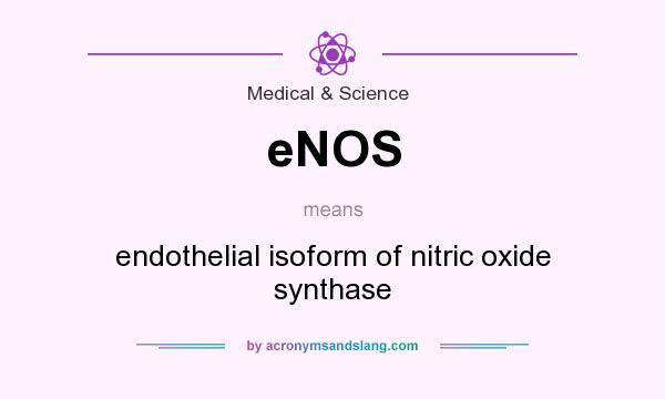 What does eNOS mean? It stands for endothelial isoform of nitric oxide synthase