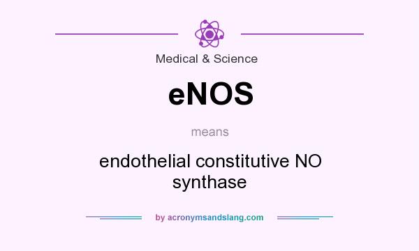 What does eNOS mean? It stands for endothelial constitutive NO synthase
