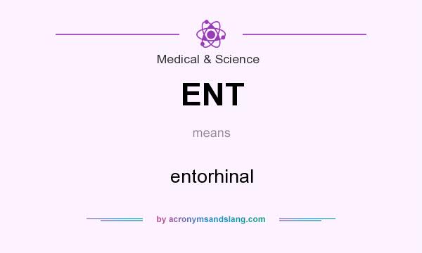 What does ENT mean? It stands for entorhinal