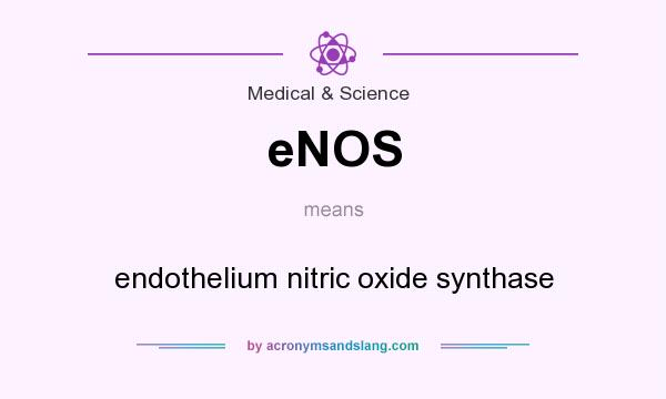 What does eNOS mean? It stands for endothelium nitric oxide synthase