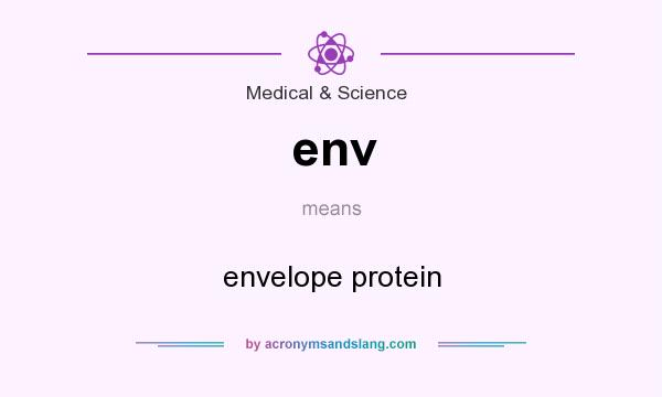 What does env mean? It stands for envelope protein