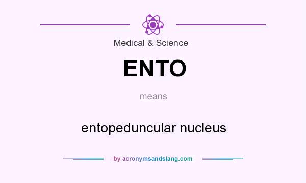 What does ENTO mean? It stands for entopeduncular nucleus