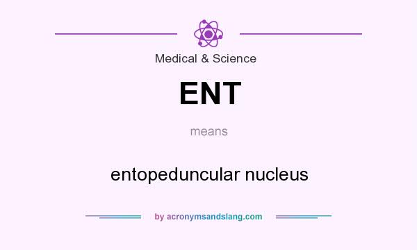 What does ENT mean? It stands for entopeduncular nucleus