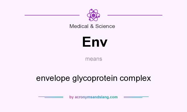 What does Env mean? It stands for envelope glycoprotein complex