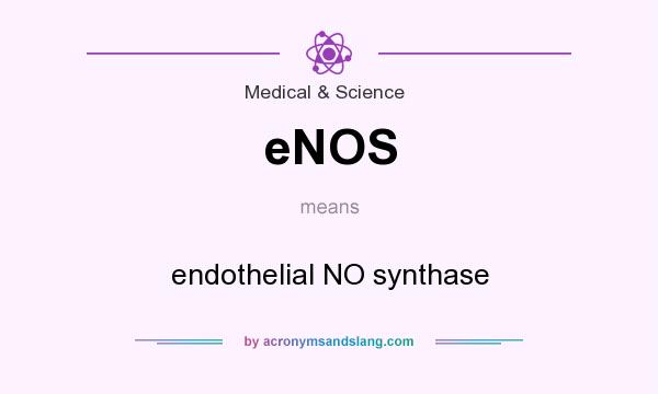 What does eNOS mean? It stands for endothelial NO synthase