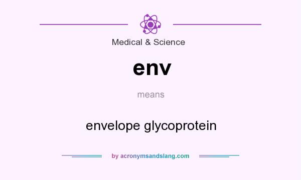 What does env mean? It stands for envelope glycoprotein