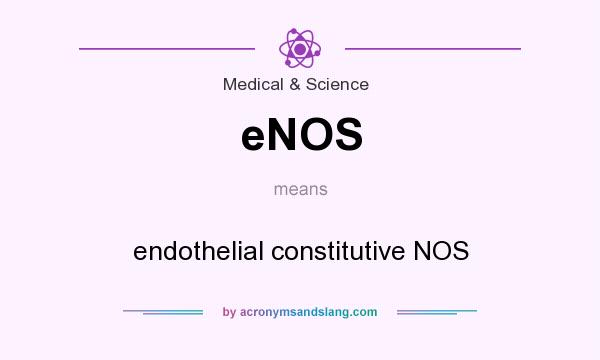 What does eNOS mean? It stands for endothelial constitutive NOS