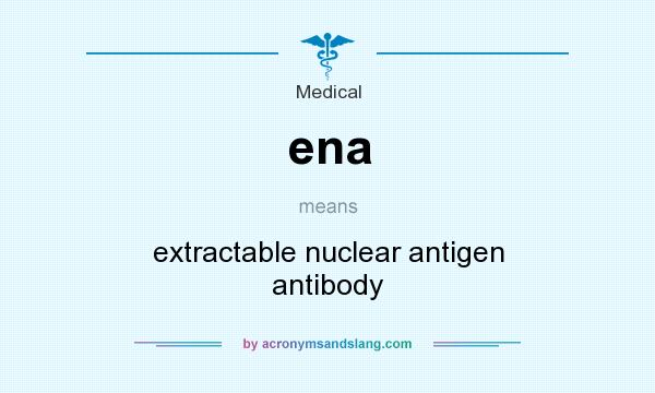 What does ena mean? It stands for extractable nuclear antigen antibody