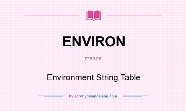 What does ENVIRON mean? It stands for Environment String Table