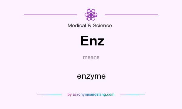What does Enz mean? It stands for enzyme
