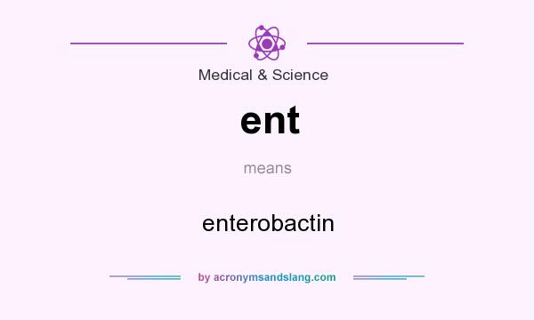 What does ent mean? It stands for enterobactin