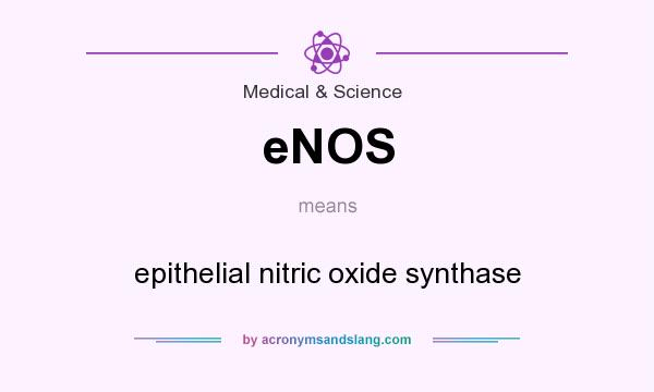 What does eNOS mean? It stands for epithelial nitric oxide synthase