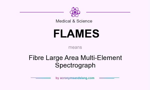 What does FLAMES mean? It stands for Fibre Large Area Multi-Element Spectrograph
