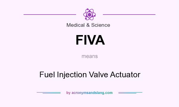 What does FIVA mean? It stands for Fuel Injection Valve Actuator