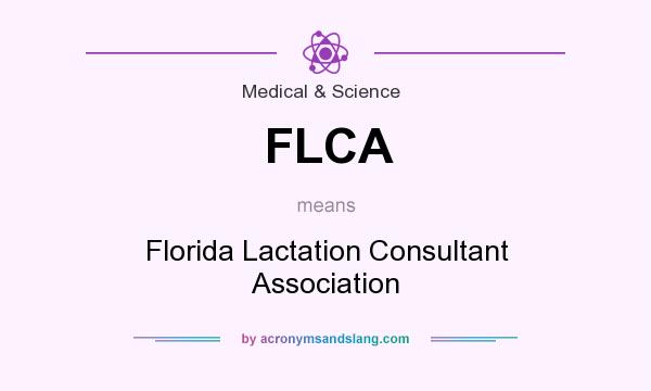 What does FLCA mean? It stands for Florida Lactation Consultant Association