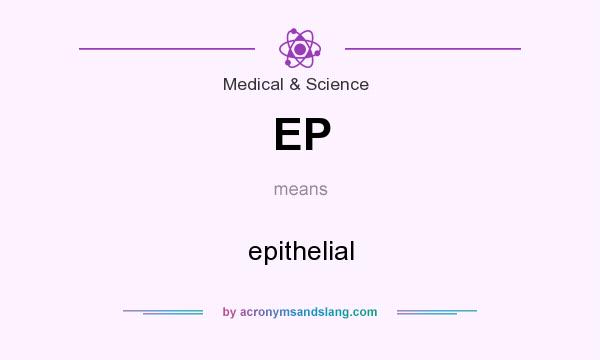 What does EP mean? It stands for epithelial