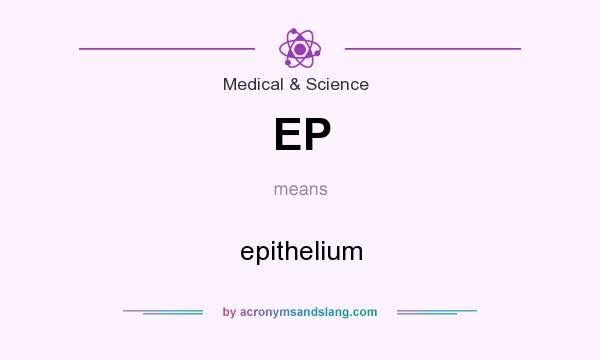 What does EP mean? It stands for epithelium