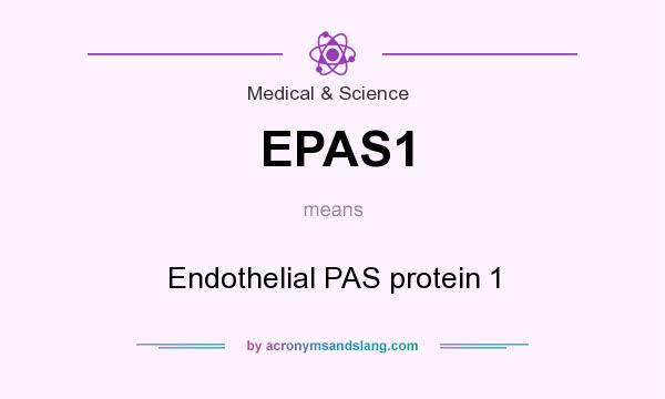 What does EPAS1 mean? It stands for Endothelial PAS protein 1