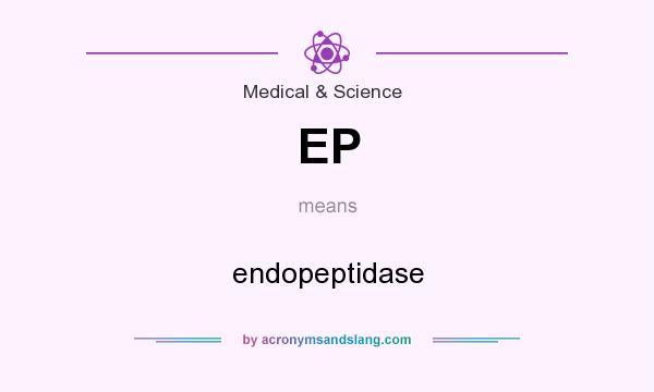 What does EP mean? It stands for endopeptidase