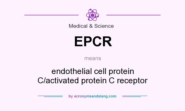 What does EPCR mean? It stands for endothelial cell protein C/activated protein C receptor