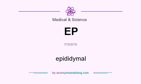 What does EP mean? It stands for epididymal