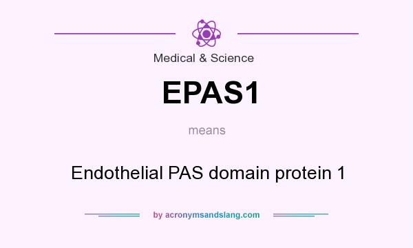 What does EPAS1 mean? It stands for Endothelial PAS domain protein 1
