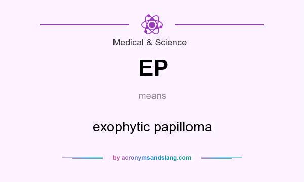 What does EP mean? It stands for exophytic papilloma