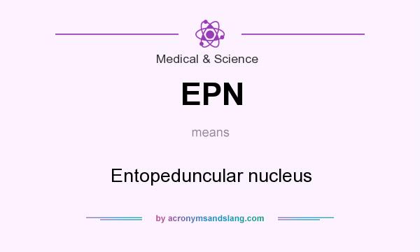 What does EPN mean? It stands for Entopeduncular nucleus