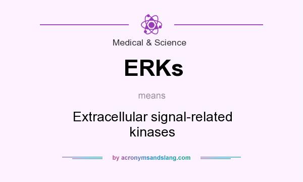 What does ERKs mean? It stands for Extracellular signal-related kinases