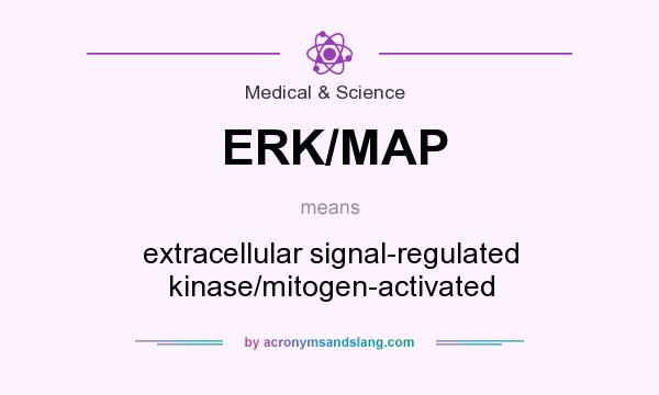 What does ERK/MAP mean? It stands for extracellular signal-regulated kinase/mitogen-activated