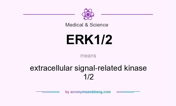 What does ERK1/2 mean? It stands for extracellular signal-related kinase 1/2