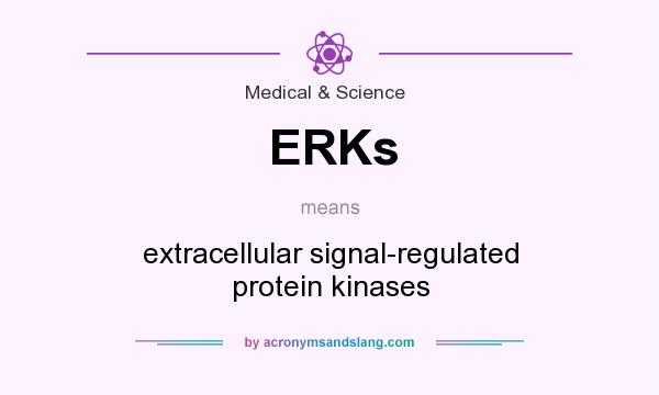 What does ERKs mean? It stands for extracellular signal-regulated protein kinases
