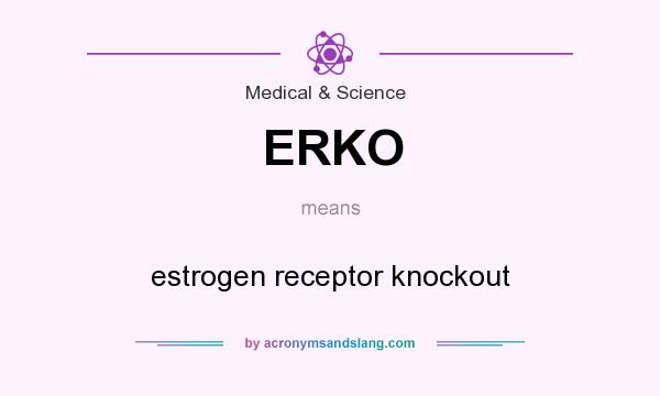 What does ERKO mean? It stands for estrogen receptor knockout