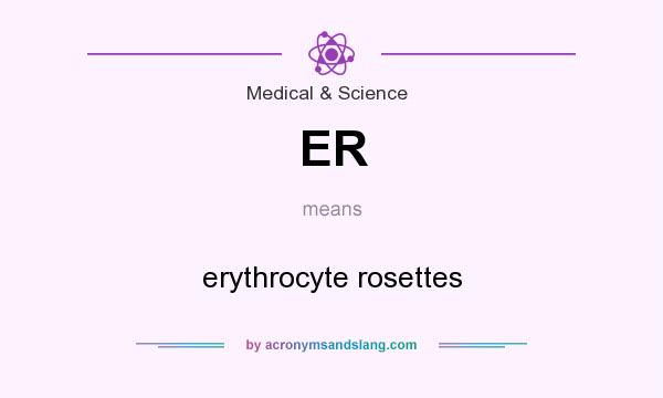 What does ER mean? It stands for erythrocyte rosettes