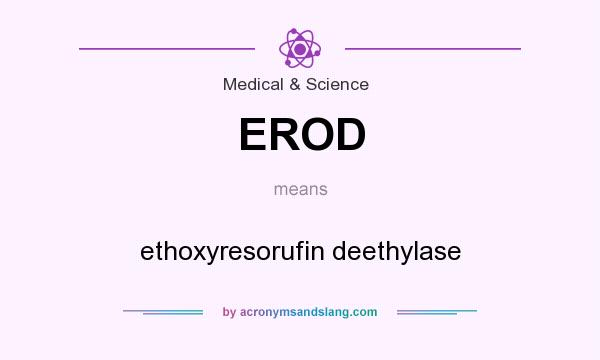 What does EROD mean? It stands for ethoxyresorufin deethylase