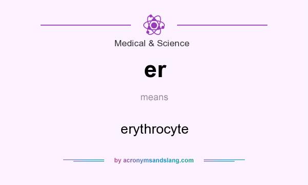 What does er mean? It stands for erythrocyte