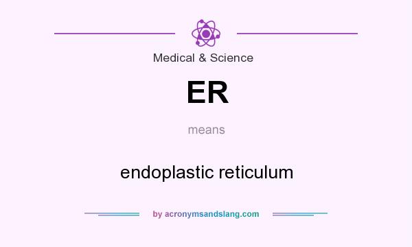What does ER mean? It stands for endoplastic reticulum