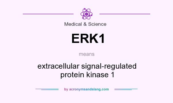 What does ERK1 mean? It stands for extracellular signal-regulated protein kinase 1