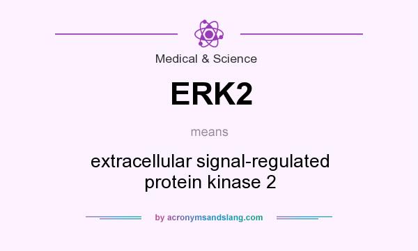 What does ERK2 mean? It stands for extracellular signal-regulated protein kinase 2