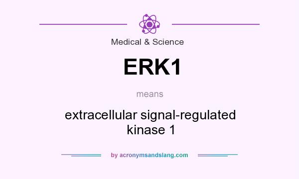 What does ERK1 mean? It stands for extracellular signal-regulated kinase 1