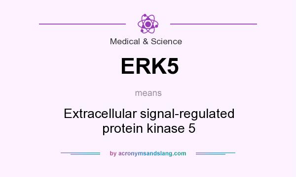 What does ERK5 mean? It stands for Extracellular signal-regulated protein kinase 5