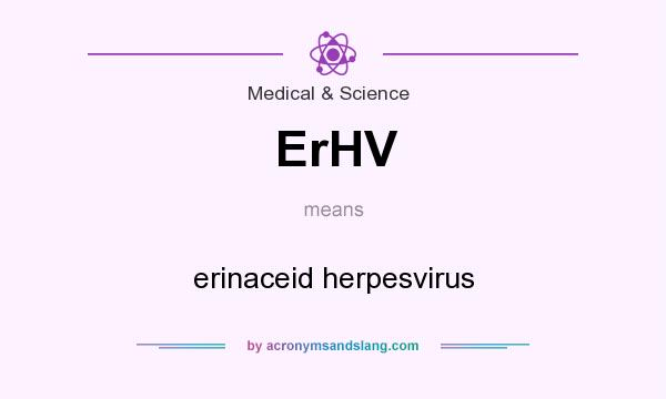 What does ErHV mean? It stands for erinaceid herpesvirus