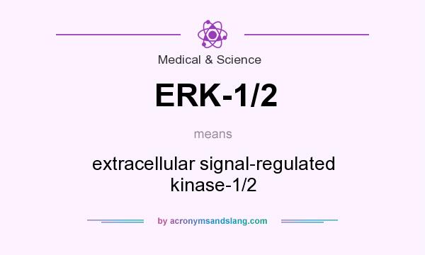 What does ERK-1/2 mean? It stands for extracellular signal-regulated kinase-1/2